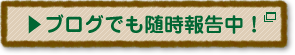 ブログでも随時報告中