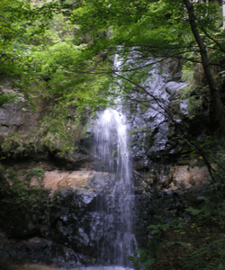写真02