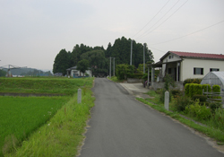 鎮守の森