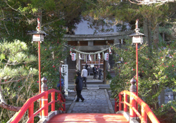青麻川に架かる橋から